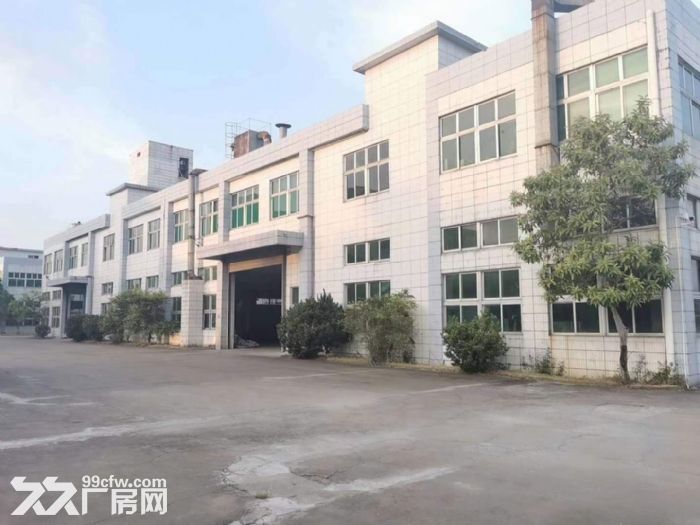 东莞常平新出原房东独院形象好空地大-图2