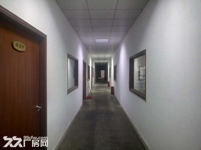 凤岗无公摊一楼厂房出租1200平 官井头近大运城邦-图3