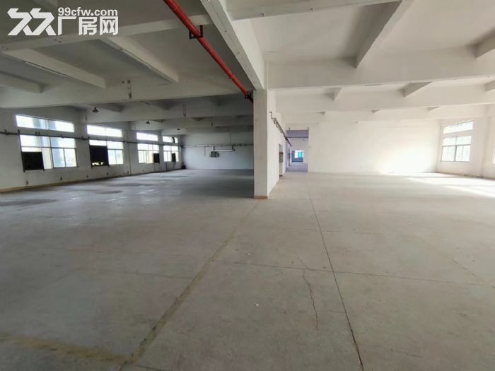 凤岗近平湖新空出楼上整层1800平 国有双证 适合各行业-图1