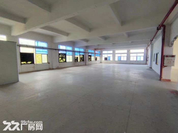 凤岗近平湖新空出楼上整层1800平 国有双证 适合各行业-图3