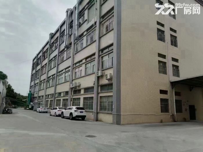 凤岗近平湖新空出楼上整层1800平 国有双证 适合各行业-图4