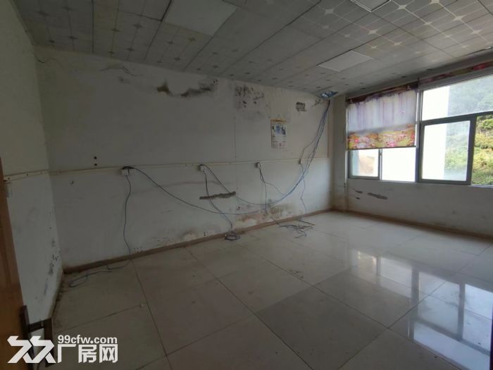 凤岗近平湖新空出楼上整层1800平 国有双证 适合各行业-图6