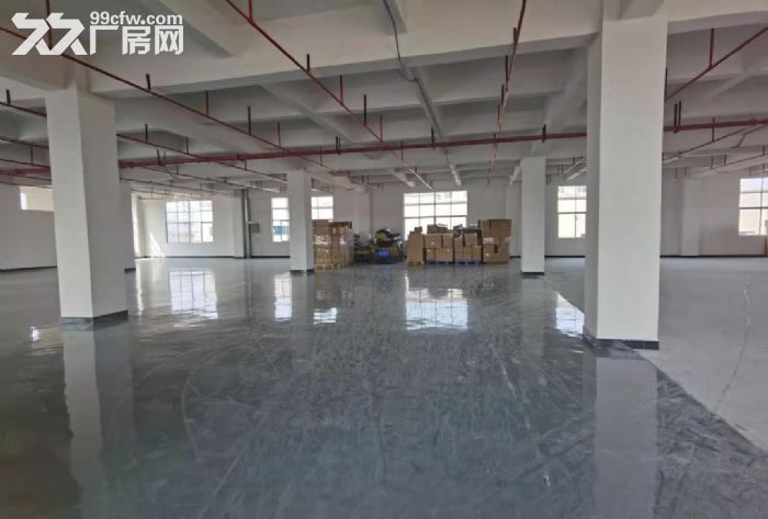 凤岗近深圳楼上全新厂房出租800平 电子 纸箱 加工 毛刷-图1