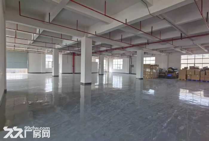 凤岗近深圳楼上全新厂房出租800平 电子 纸箱 加工 毛刷-图4
