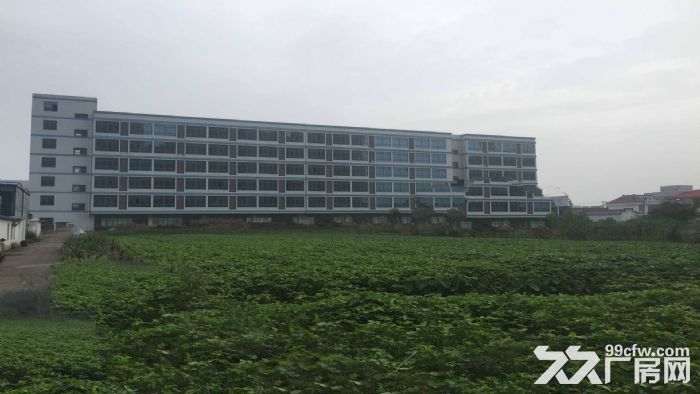 东莞市清溪镇２８００平方米六楼厂房出租-图1