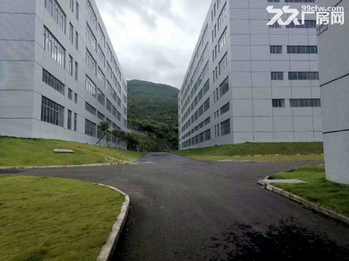 清溪镇带红本花园式重工业厂房火爆招租13万平方 带卸货平台-图2