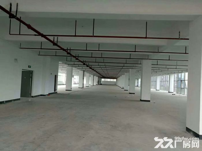 清溪镇带红本花园式重工业厂房火爆招租13万平方 带卸货平台-图5