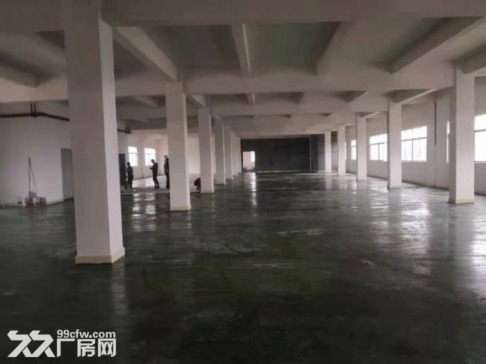 寮步全新标准厂房出租-图2