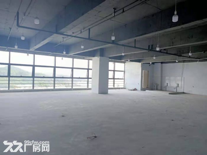 凤岗金凤凰电子，小加工，电商，办公贸易出租398平 豪华装修-图2