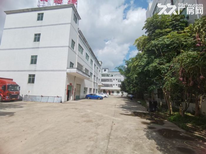 清溪三中新出原房东一楼5.5高标准厂房1200平 水电装修齐-图5