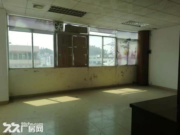 油甘埔楼上适电商贸易 小加工 电子 手袋厂房出租500平-图3