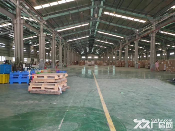 清溪标准单一层9米高物流仓库出租-图2