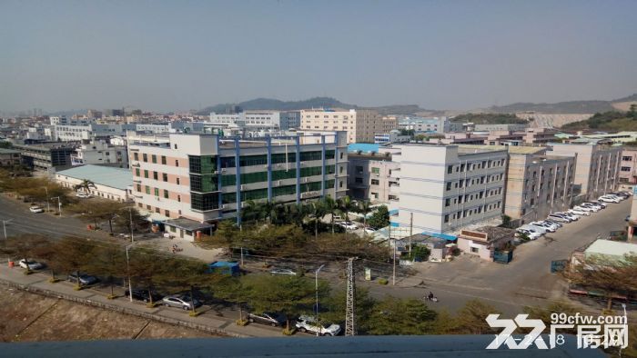 东莞市塘厦镇３０００平方米五楼食品厂房出租 (食品证)-图2