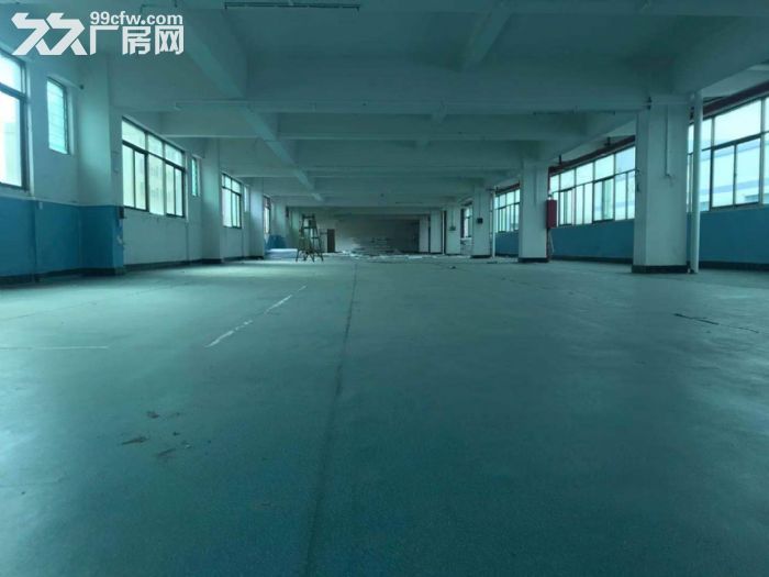 寮步镇向西村标准厂房新出一楼1000方 二楼1880平-图3