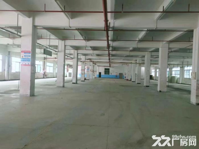 寮步镇靠松山湖大道旁独门独院厂房20000平方出租-图5