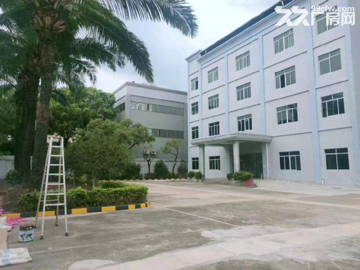 寮步镇靠松山湖大道旁独门独院厂房20000平方出租-图3