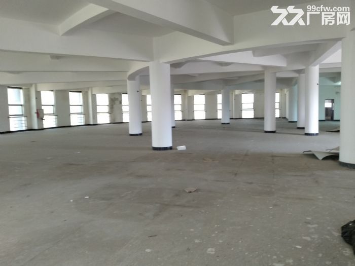 惠州厂房出租 园洲厂房 独门独院厂房 工业区独院 标准厂房-图1