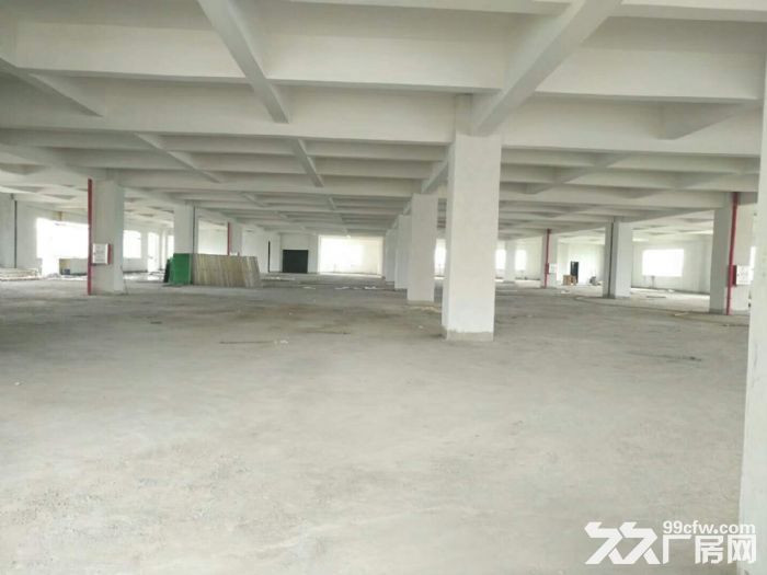 惠州厂房出租 园洲厂房 独门独院厂房 工业区独院 标准厂房-图2