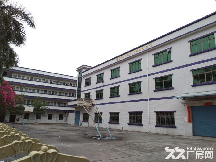 惠州厂房出租 园洲厂房 独门独院厂房 工业区独院 标准厂房-图4