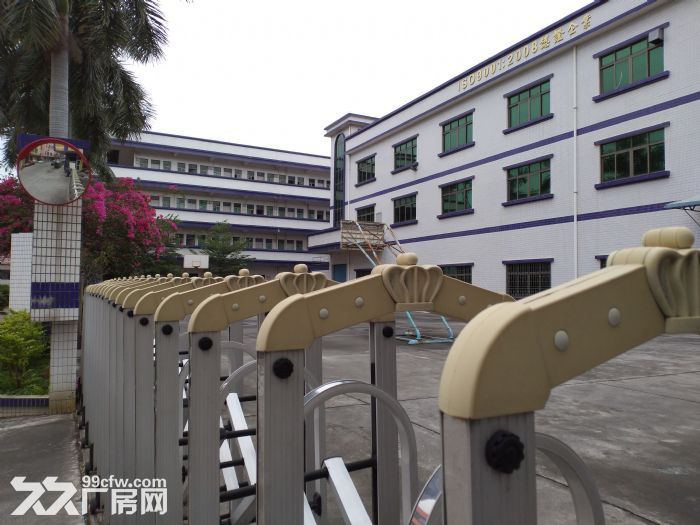 惠州厂房出租 园洲厂房 独门独院厂房 工业区独院 标准厂房-图3