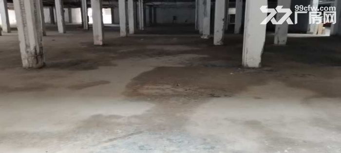 东莞最便宜的厂房 大型仓库 百货 餐饮 小加工厂 东莞厂房-图1