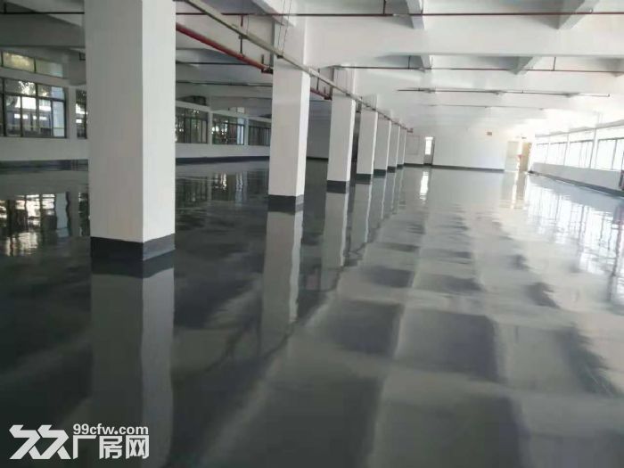 惠州厂房出租 园洲厂房 独门独院厂房 工业区独院 标准厂房-图5