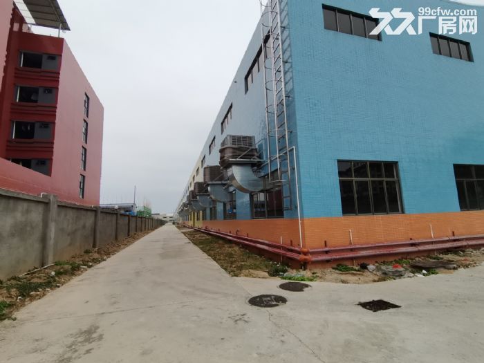 惠州厂房出租 东莞钢构 环评厂房 工业用地-图6