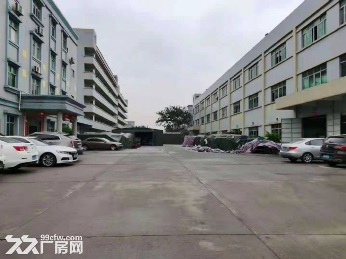 原房东独院标准厂房5000平方-图1