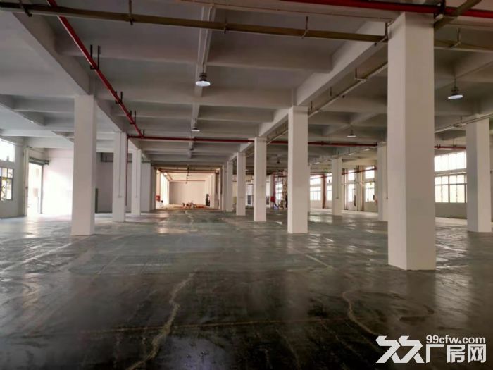 实际面积出租 凤岗标准一楼6米高厂房出租2000平 可办环评-图3