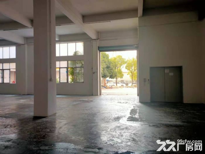 实际面积出租 凤岗标准一楼6米高厂房出租2000平 可办环评-图1