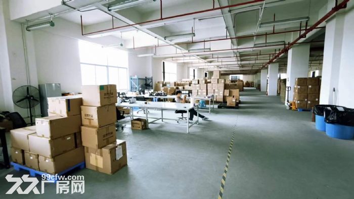 凤岗麻铺坳工业区仓库电商厂房整层招租2200平米 水电齐全-图2