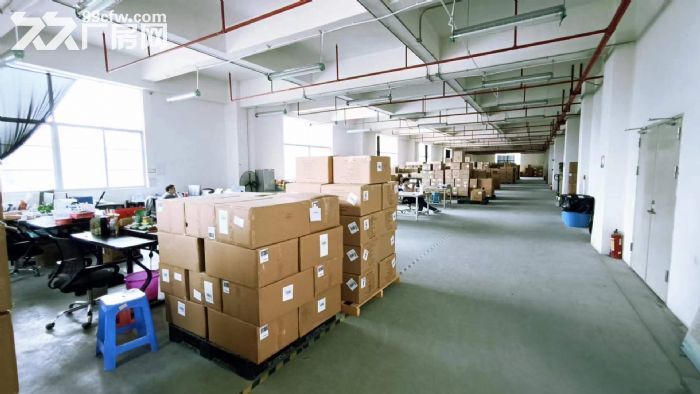 凤岗麻铺坳工业区仓库电商厂房整层招租2200平米 水电齐全-图3