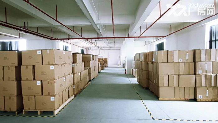 凤岗麻铺坳工业区仓库电商厂房整层招租2200平米 水电齐全-图4