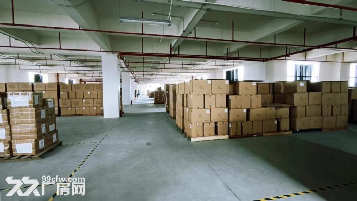 凤岗麻铺坳工业区仓库电商厂房整层招租2200平米 水电齐全-图6