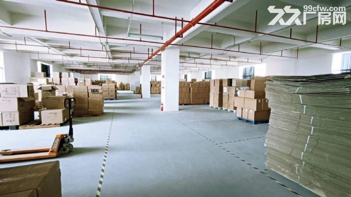 凤岗麻铺坳工业区仓库电商厂房整层招租2200平米 水电齐全-图5