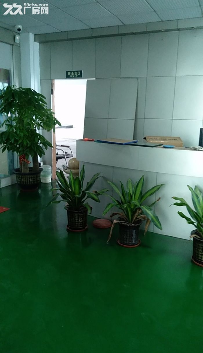 凤岗油甘埔带办公室标准厂房出租二楼600平 水电齐全-图2