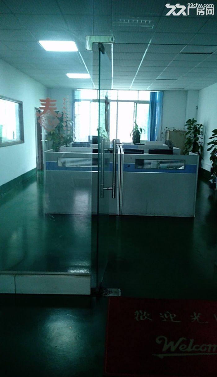 凤岗油甘埔带办公室标准厂房出租二楼600平 水电齐全-图3