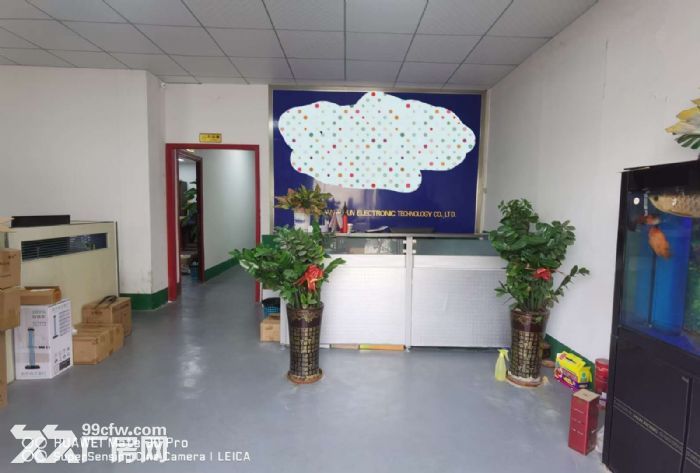 凤岗经典小独院两层1000平 适合各行业 马路边上 价格便宜-图3