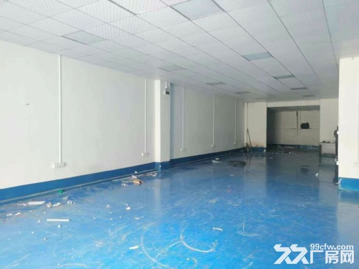 长安厦边新出标准一楼厂房580米招租-图3