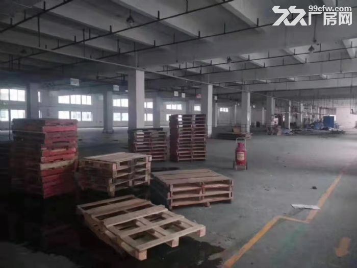 凤岗广源独院厂房出租3万平 适合物流仓储 快递中转  电商-图2