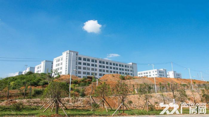 东莞市常平镇２００００平米钢架厂房出租 (可分租)-图2