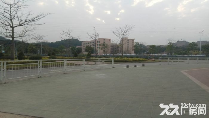 东莞市塘厦镇２４０００平米钢架厂房出租 (可分租)-图1