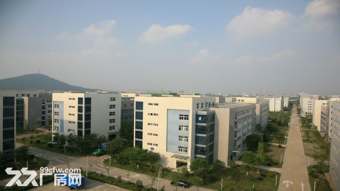 东莞市塘厦镇２４０００平米钢架厂房出租 (可分租)-图2