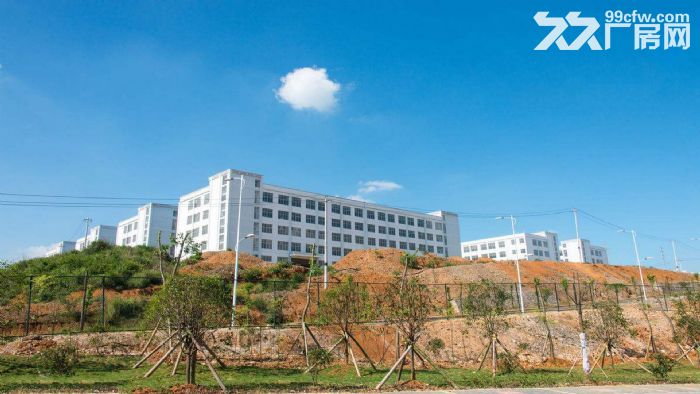 东莞市清溪镇３００００平米钢架厂房出租 (可分租)-图1