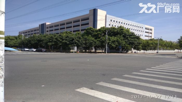 东莞市常平镇５４０００平米钢架厂房出租 (可分租)-图1