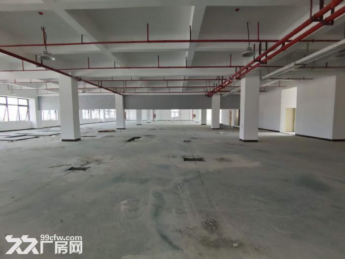 原房东出租 凤岗独栋电商仓库厂房出租2万平方 大小可分租-图2