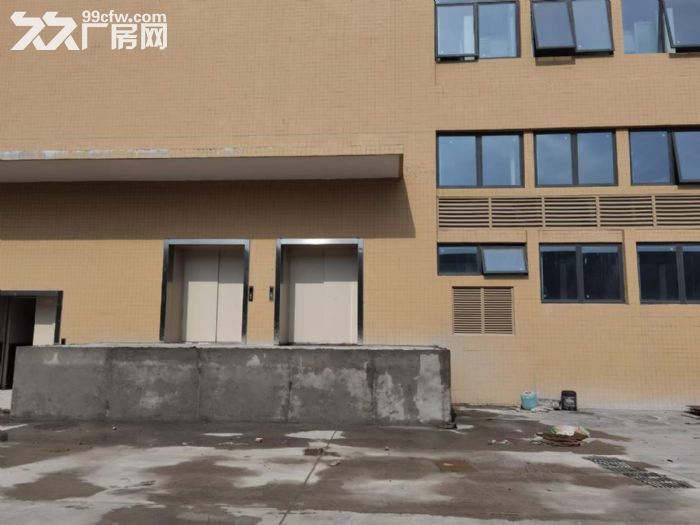 原房东出租 凤岗独栋电商仓库厂房出租2万平方 大小可分租-图4