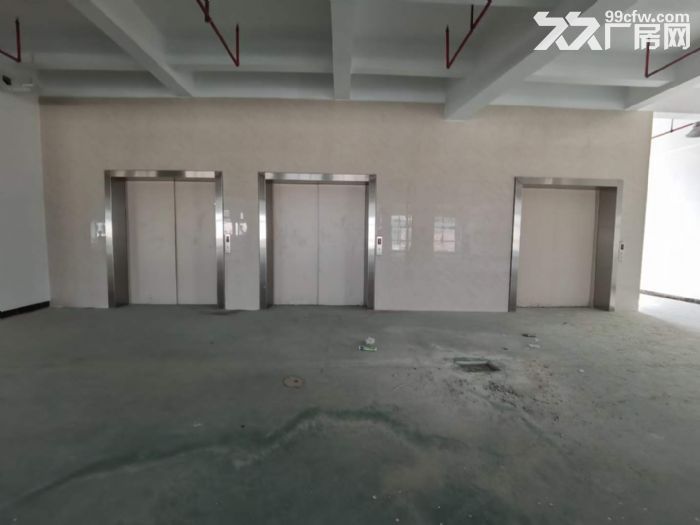 原房东出租 凤岗独栋电商仓库厂房出租2万平方 大小可分租-图3