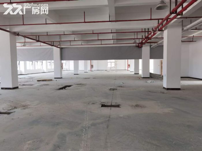 原房东出租 凤岗独栋电商仓库厂房出租2万平方 大小可分租-图6