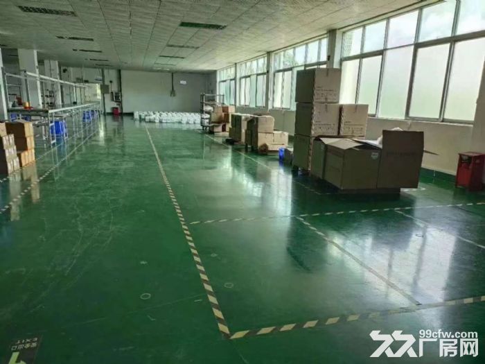 独院厂房实际分租一二楼2400平 塘厦田心科苑城-图4